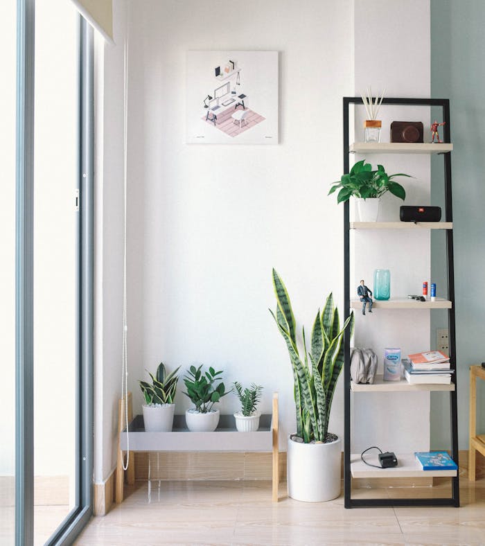 mobile-01 Bright, modern interior with minimal decor, featuring lush houseplants, shelving, and natural light.